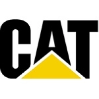 cat3