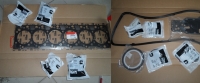 4955229___________1_